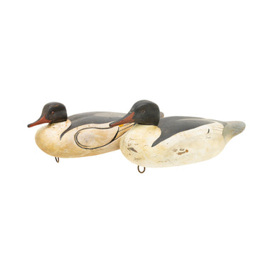 Pair Merganser Decoys, Sporting Goods, Hunting, Waterfowl Decoy