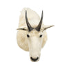 Rocky Mountain Goat Shoulder Mount