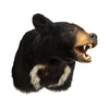 Black Bear Shoulder Mount