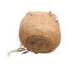 Kootenay/Cowlitz Berry Basket