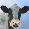 Holstein by Dolman