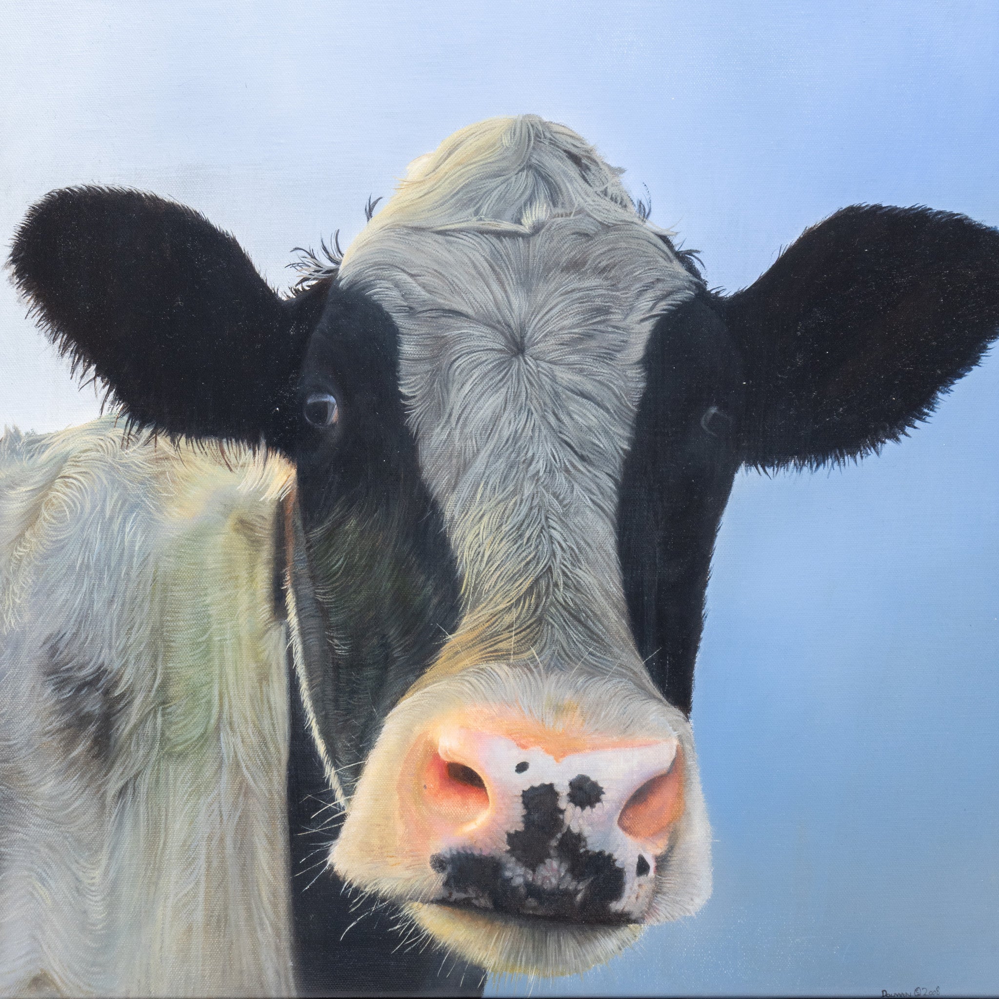 Holstein by Dolman