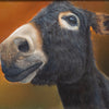 Donkey by Dolman