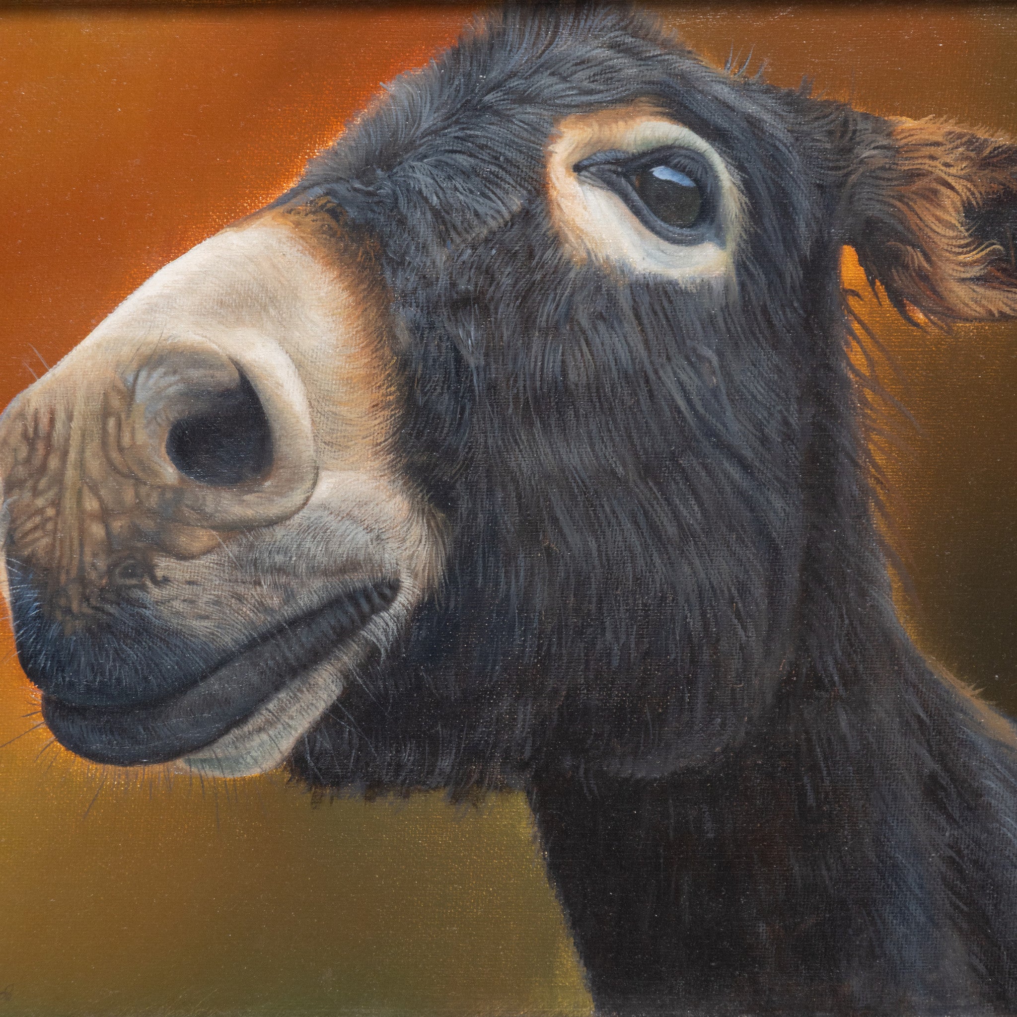 Donkey by Dolman