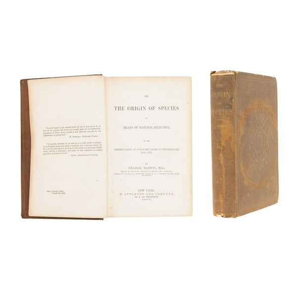 "On the Origin of Species" Book by Charles Darwin 1st Edition, Furnishings, Decor, Book