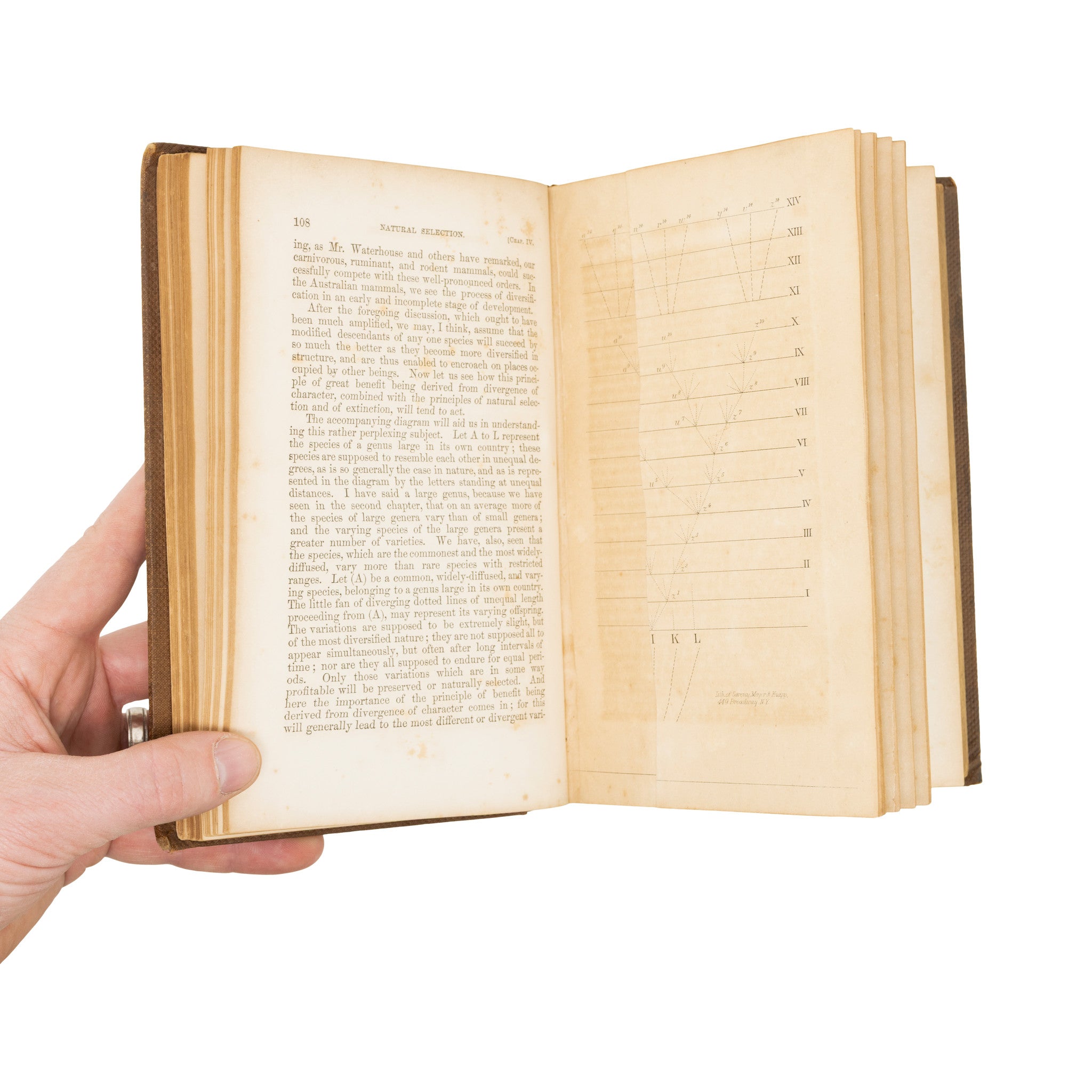 "On the Origin of Species" Book by Charles Darwin 1st Edition