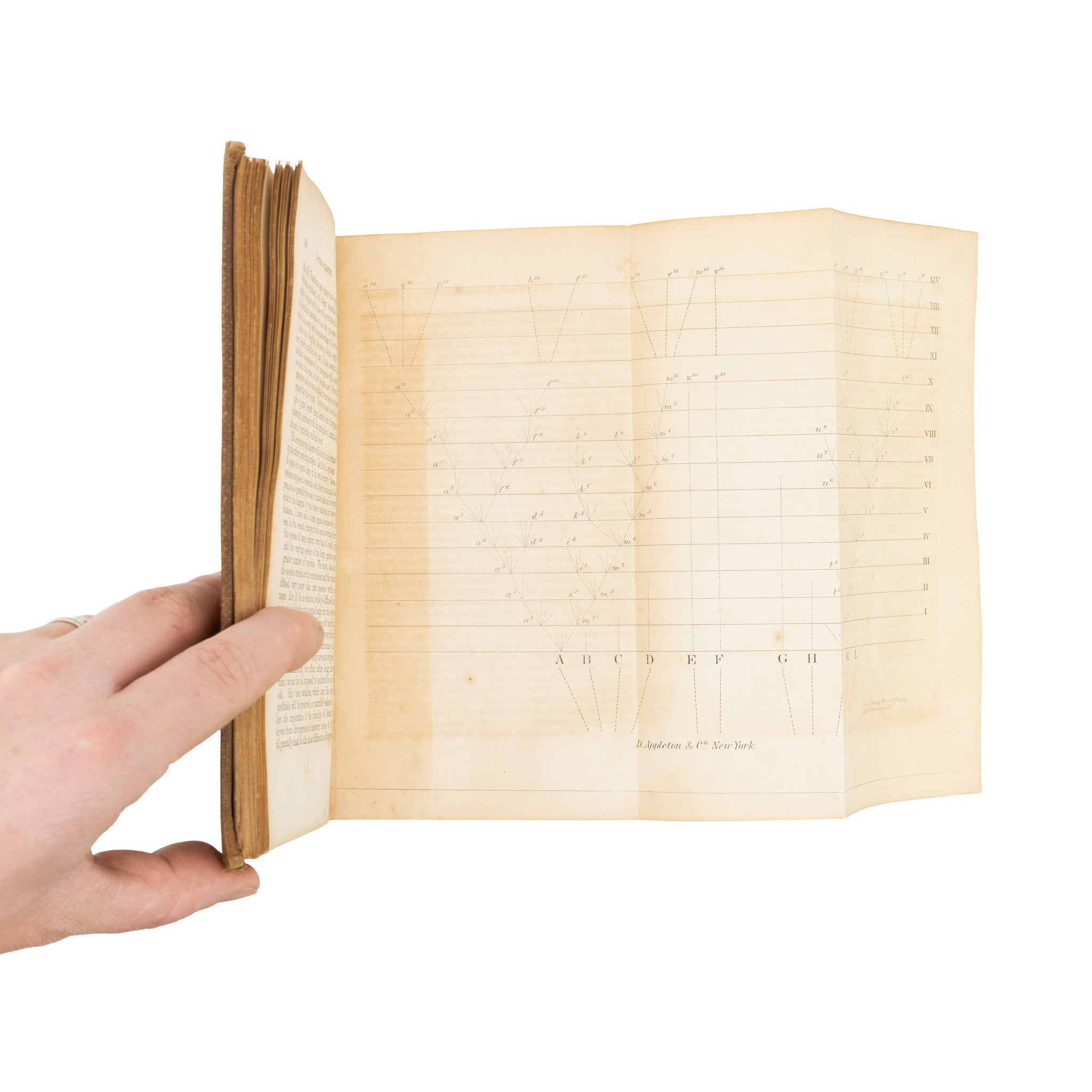 "On the Origin of Species" Book by Charles Darwin 1st Edition