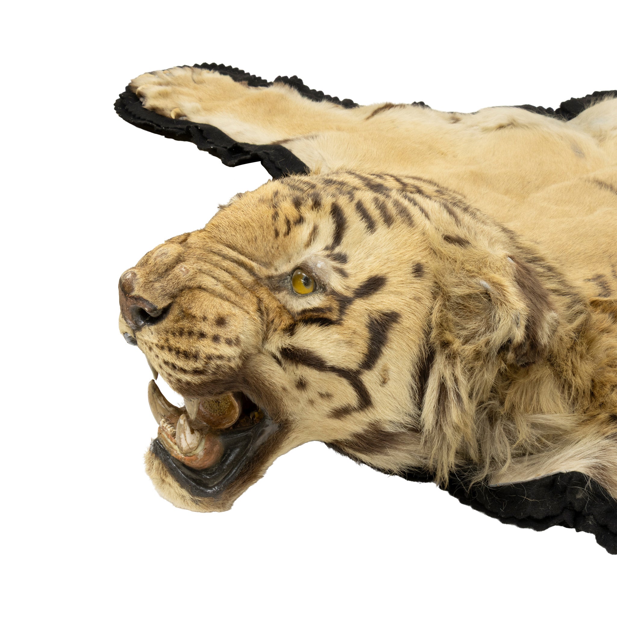 Tiger Rug