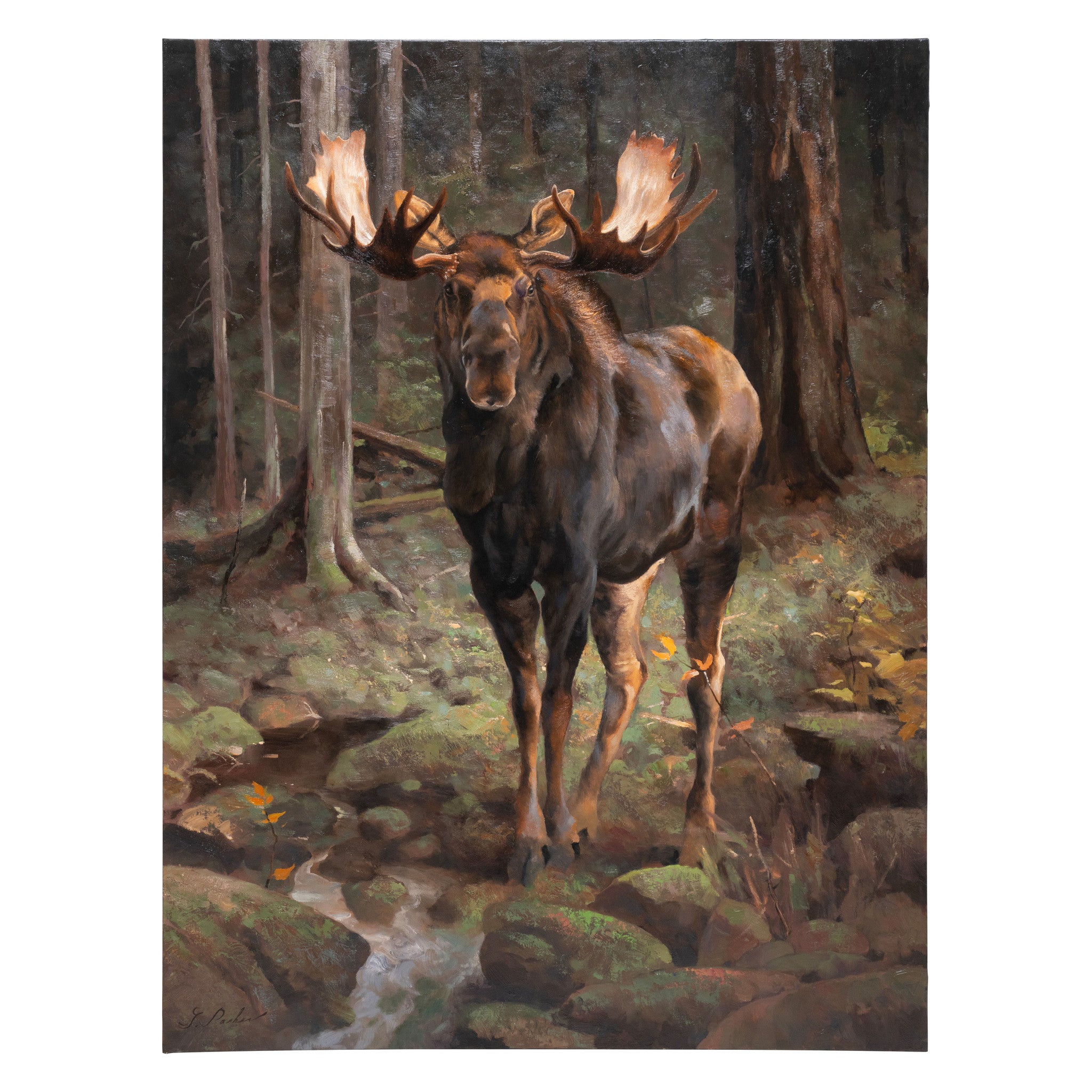 The Woodland King by Greg Parker, Fine Art, Painting, Wildlife