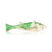 Spear Fishing  Decoy, Sporting Goods, Fishing, Decoy