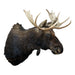 Shiras Moose Mount, Furnishings, Taxidermy, Moose