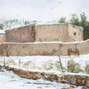 Southwest Ranch by Thomas deDecker