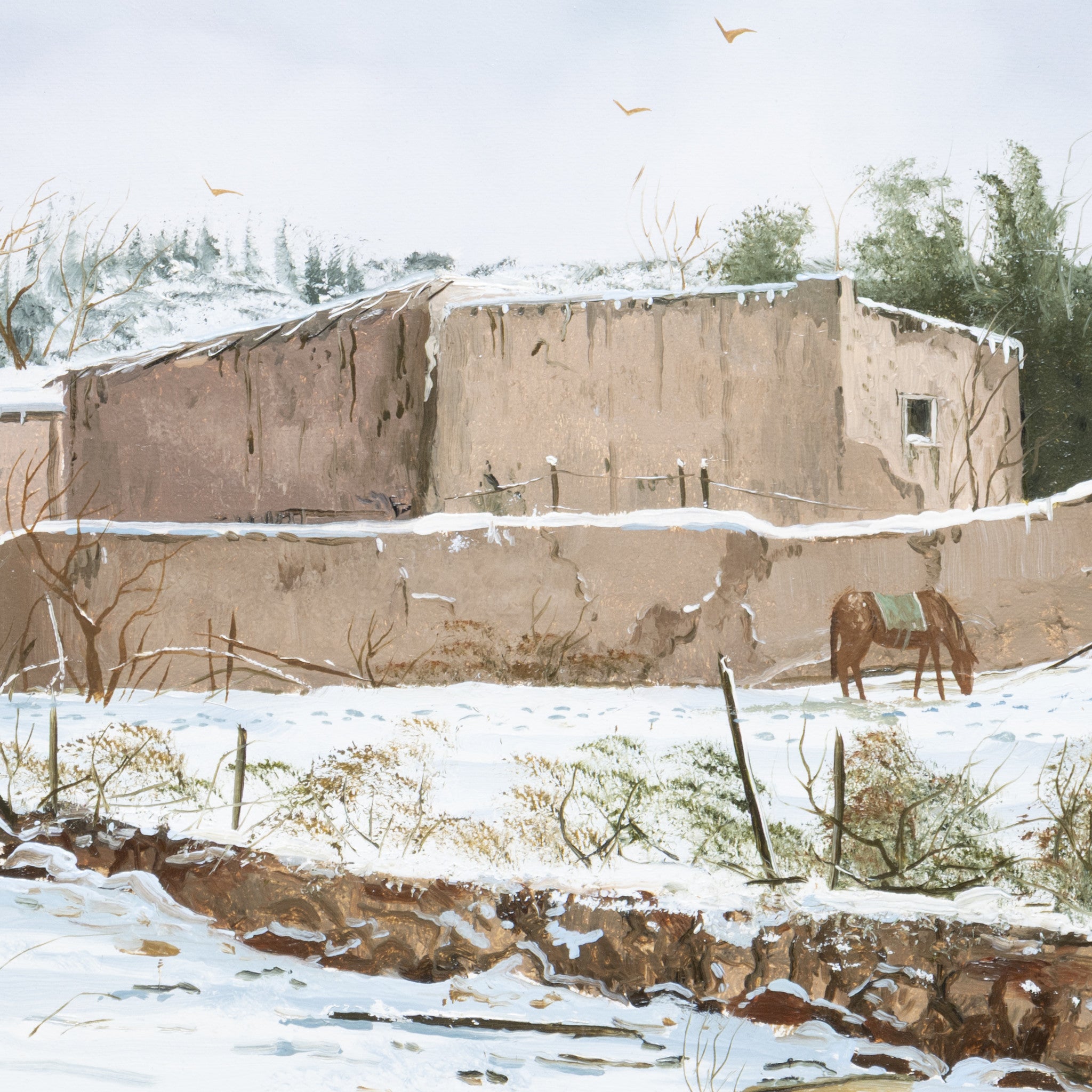 Southwest Ranch by Thomas deDecker