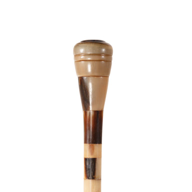Horn Walking Stick, Furnishings, Decor, Cane