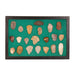 Prehistoric Flint Scrapers, Native, Stone and Tools, Hide Scraper