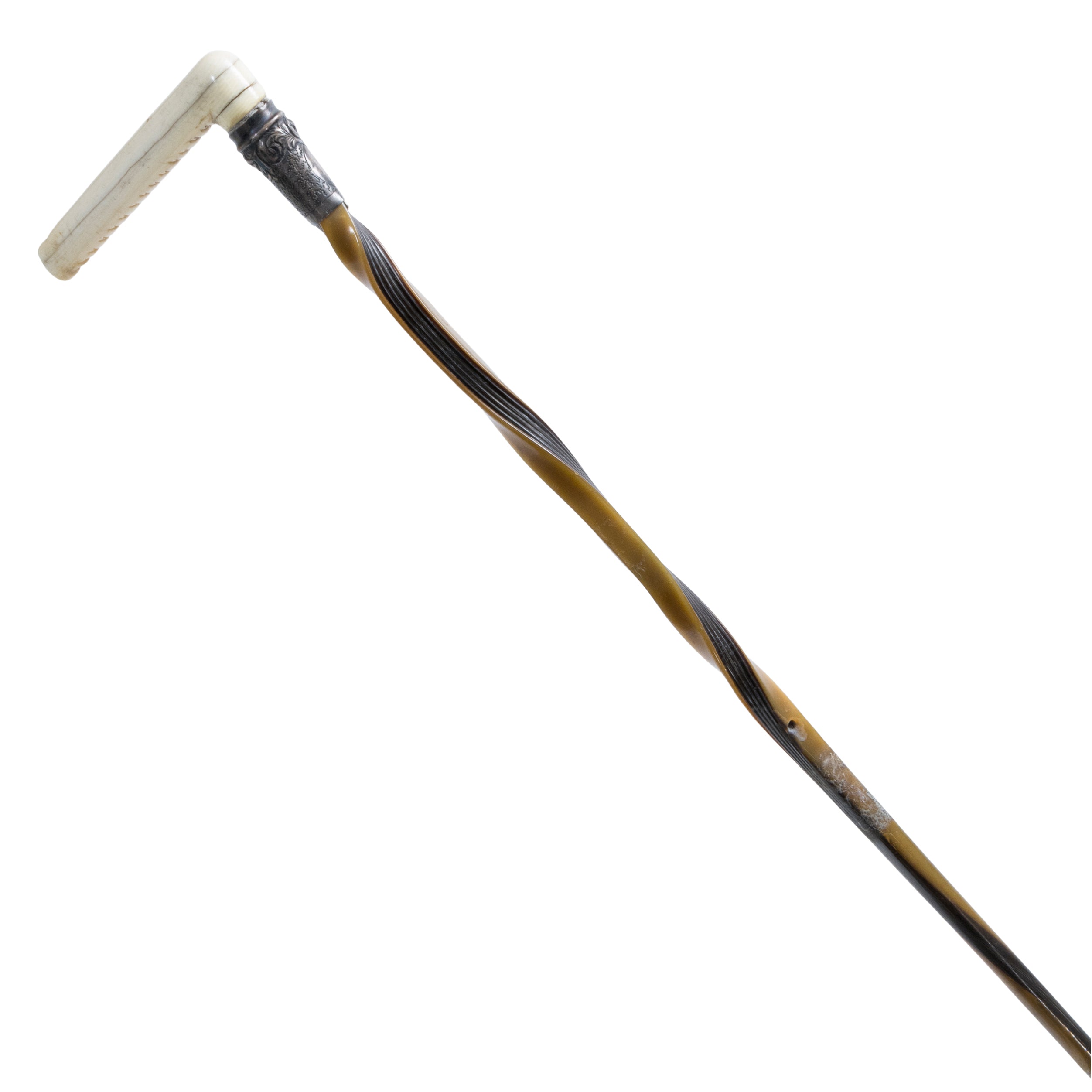 Whale Ivory Swagger Stick — Cisco's Gallery