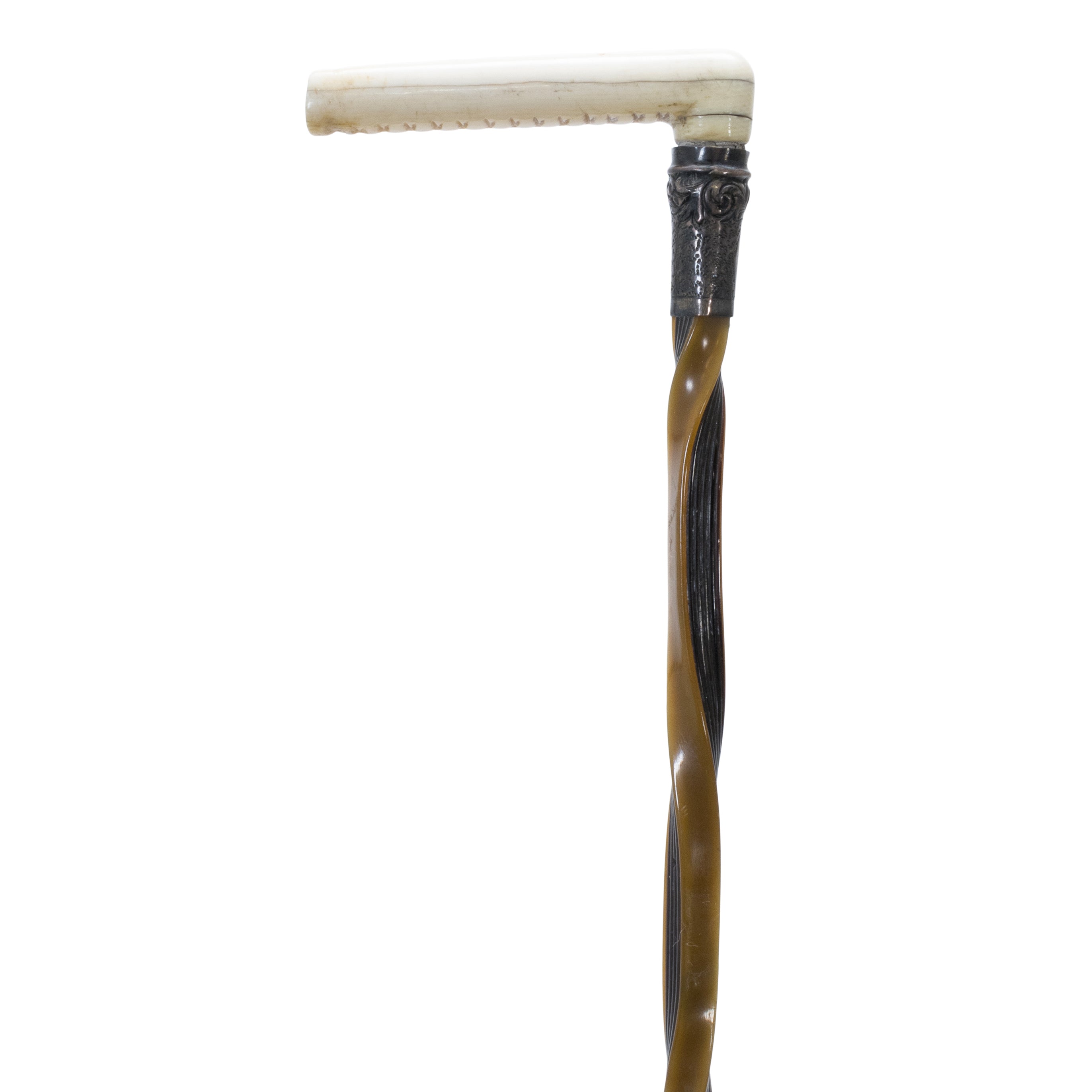 Whale Ivory Swagger Stick — Cisco's Gallery