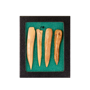 Antler and Cannon Bone Awls, Native, Stone and Tools, Awl