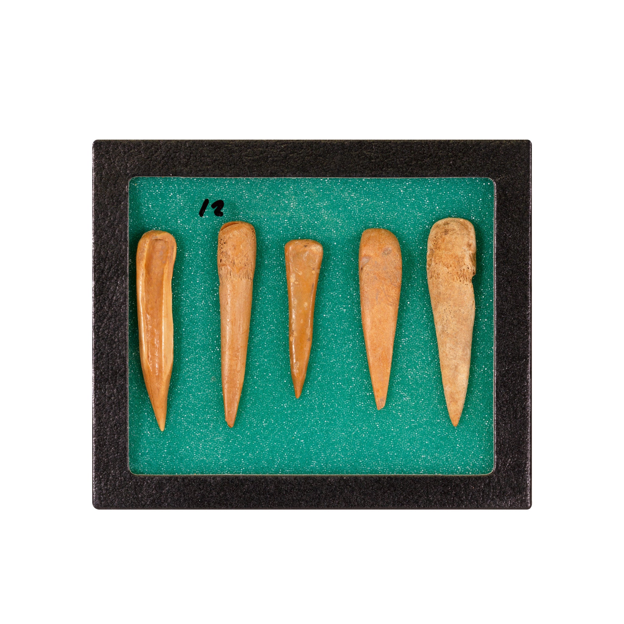 Antler and Cannon Bone Awls, Native, Stone and Tools, Awl