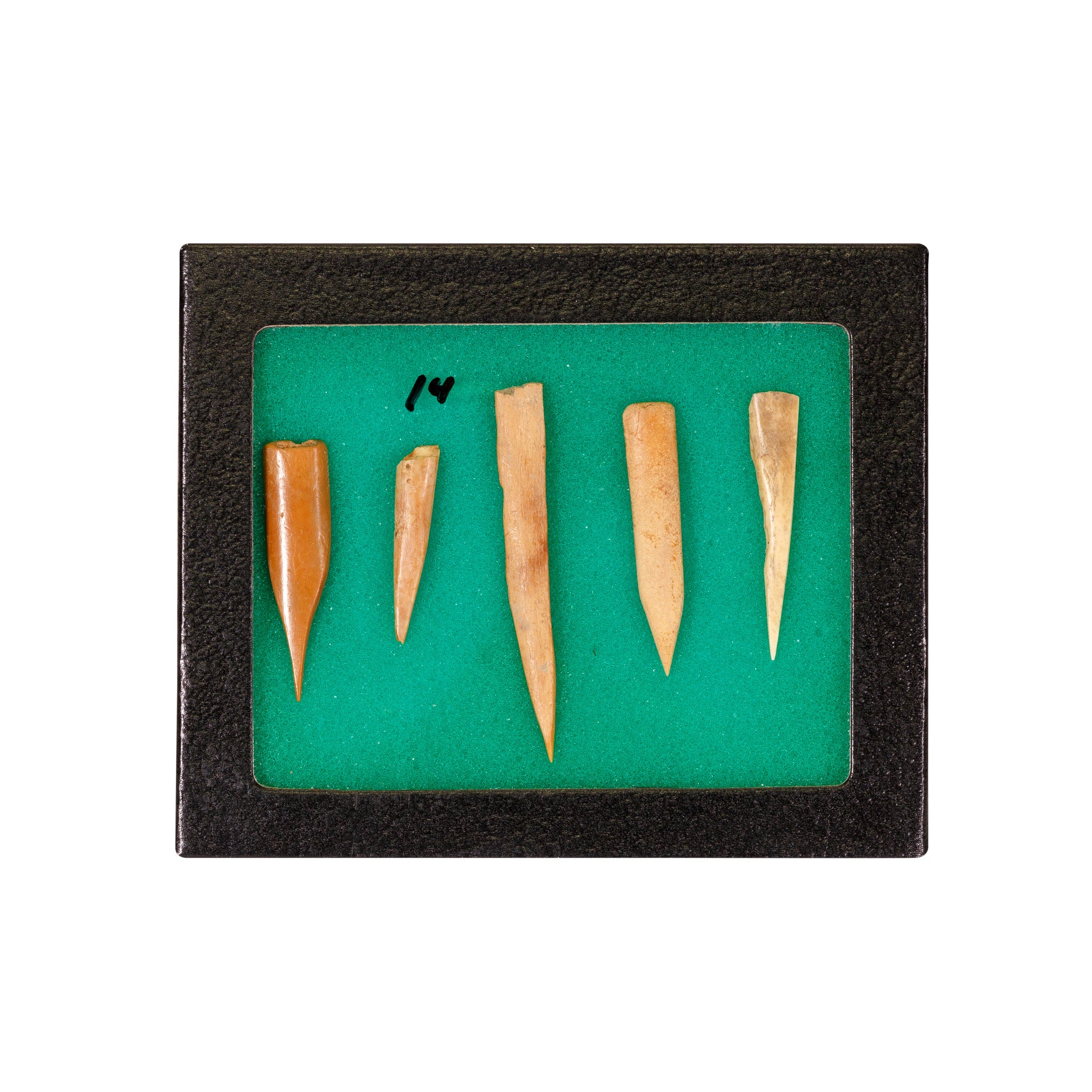 Splinter Bone Awls, Native, Stone and Tools, Awl