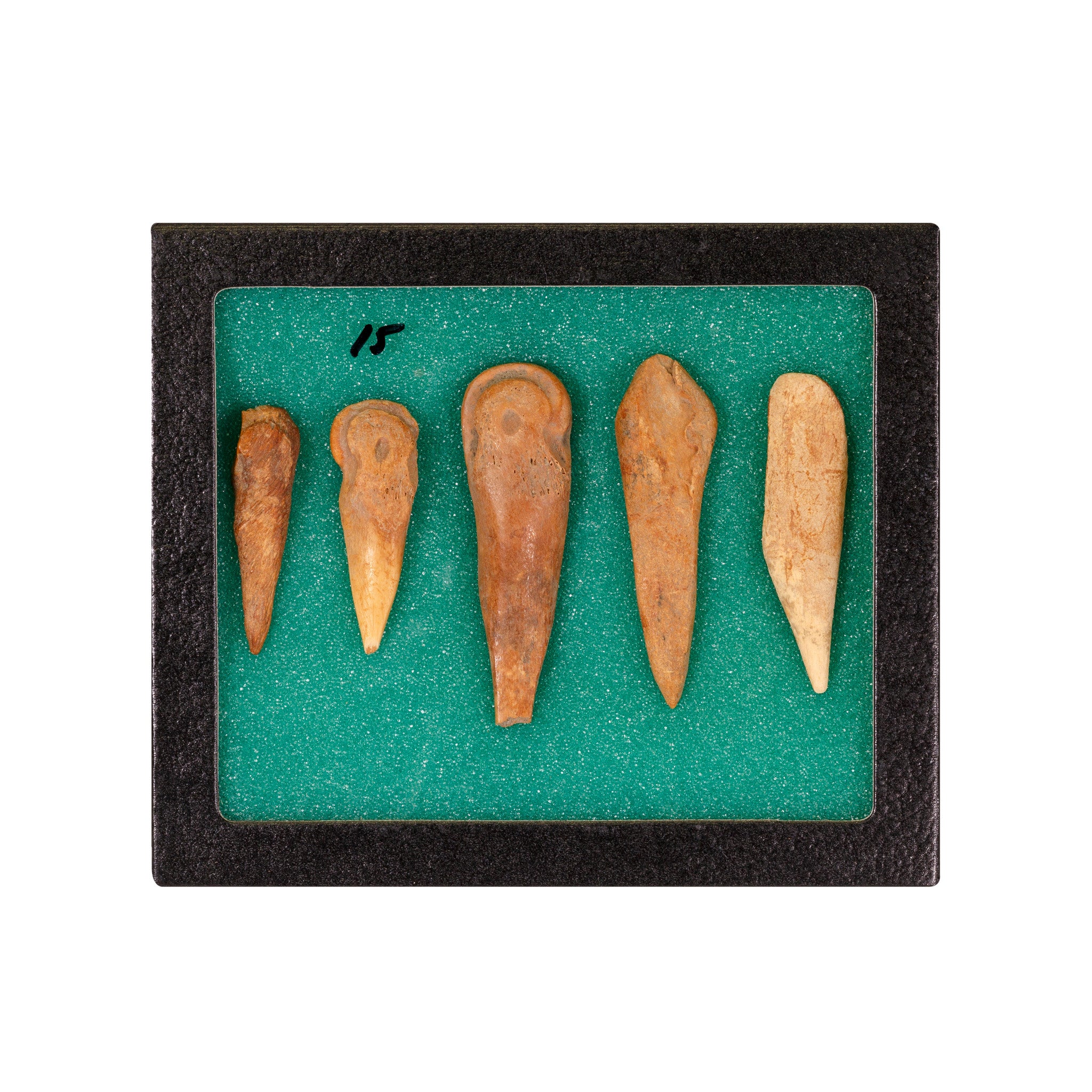 Antler and Cannon Bone Awls, Native, Stone and Tools, Awl
