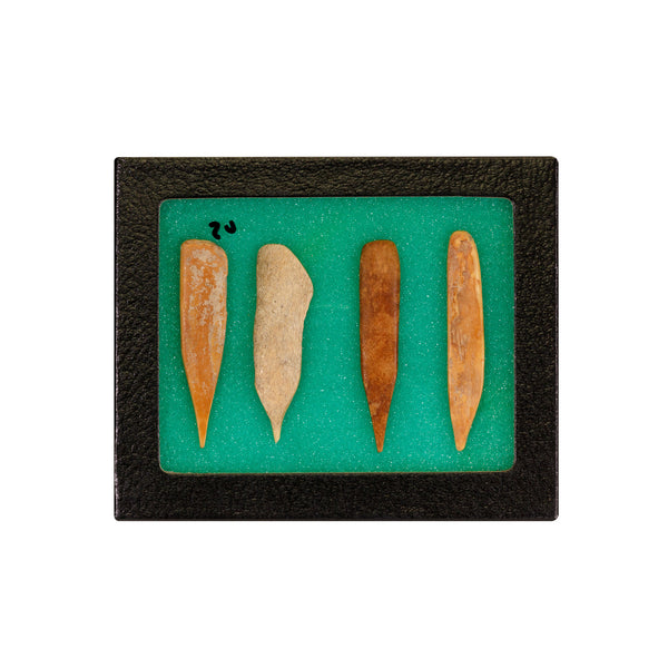 Splinter Bone Awls, Native, Stone and Tools, Awl