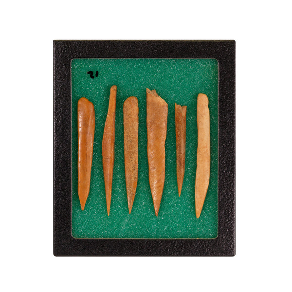 Splinter Bone Awls, Native, Stone and Tools, Bone