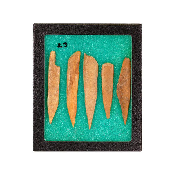 Splinter Bone Awls, Native, Stone and Tools, Awl