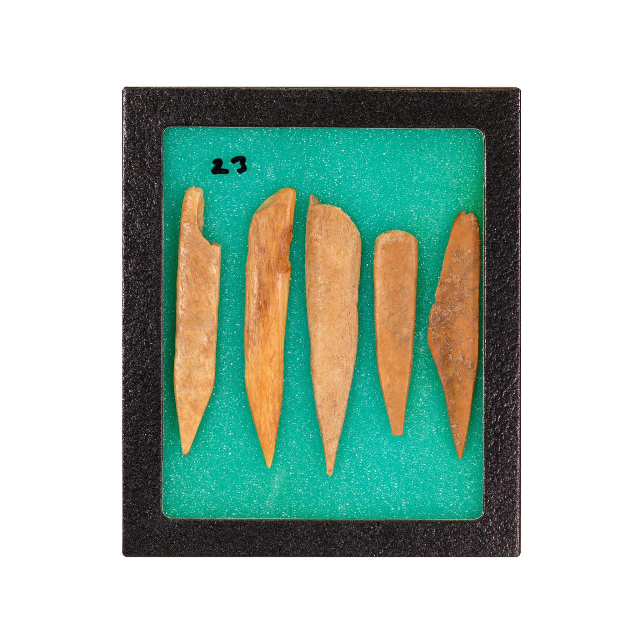 Splinter Bone Awls, Native, Stone and Tools, Awl