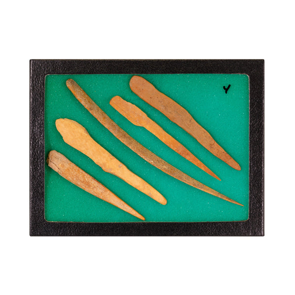 Splinter Bone Awls, Native, Stone and Tools, Awl