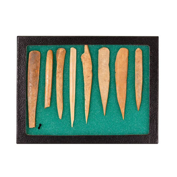 Splinter Bone Awls, Native, Stone and Tools, Awl