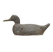 Black Duck Decoy, Sporting Goods, Hunting, Waterfowl Decoy