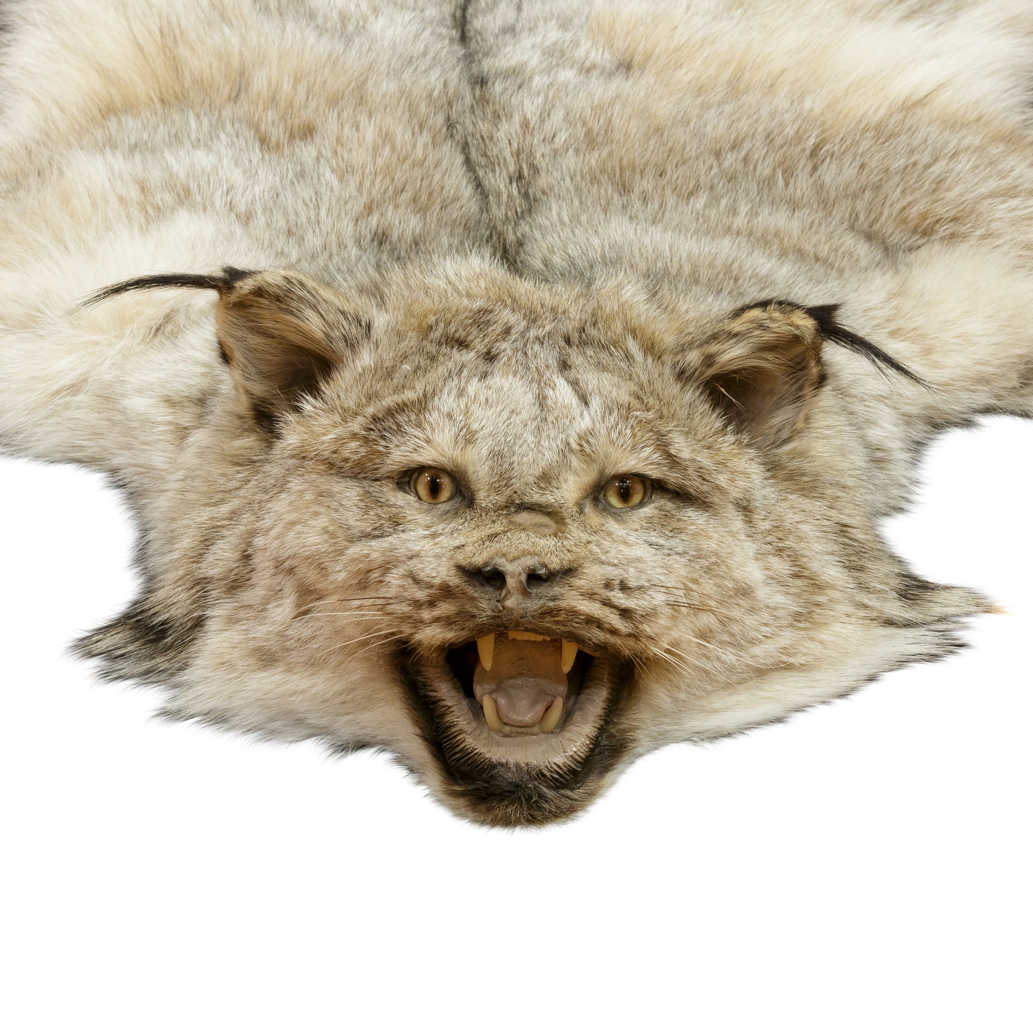 Alaskan Lynx Rug