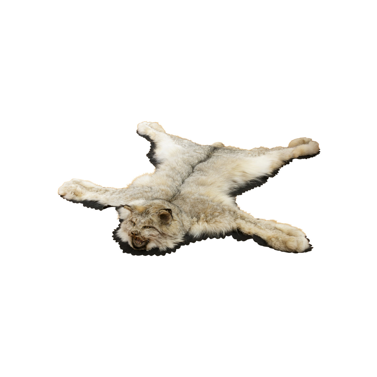Alaskan Lynx Rug — Cisco's Gallery