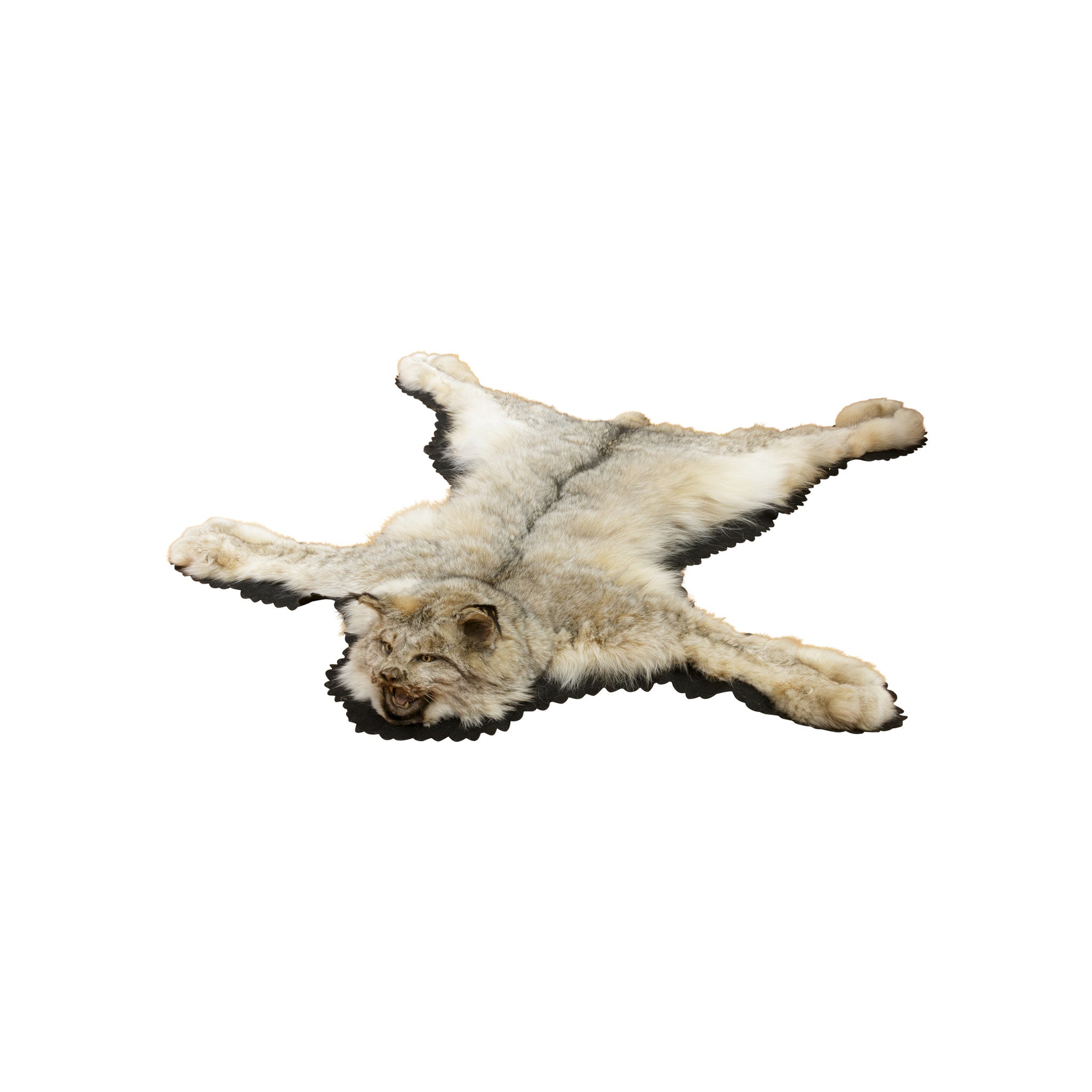 Alaskan Lynx Rug, Furnishings, Taxidermy, Lynx