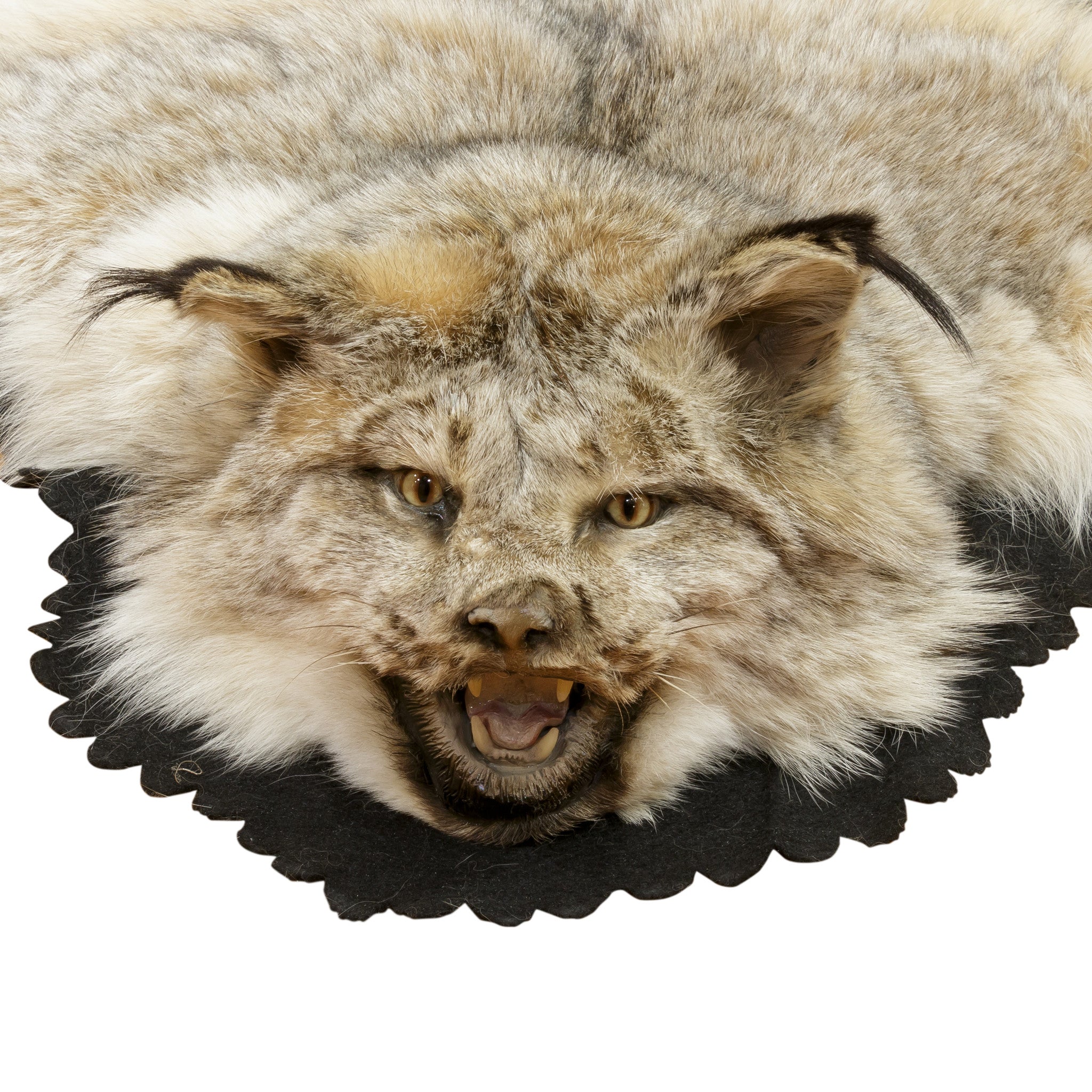 Alaskan Lynx Rug