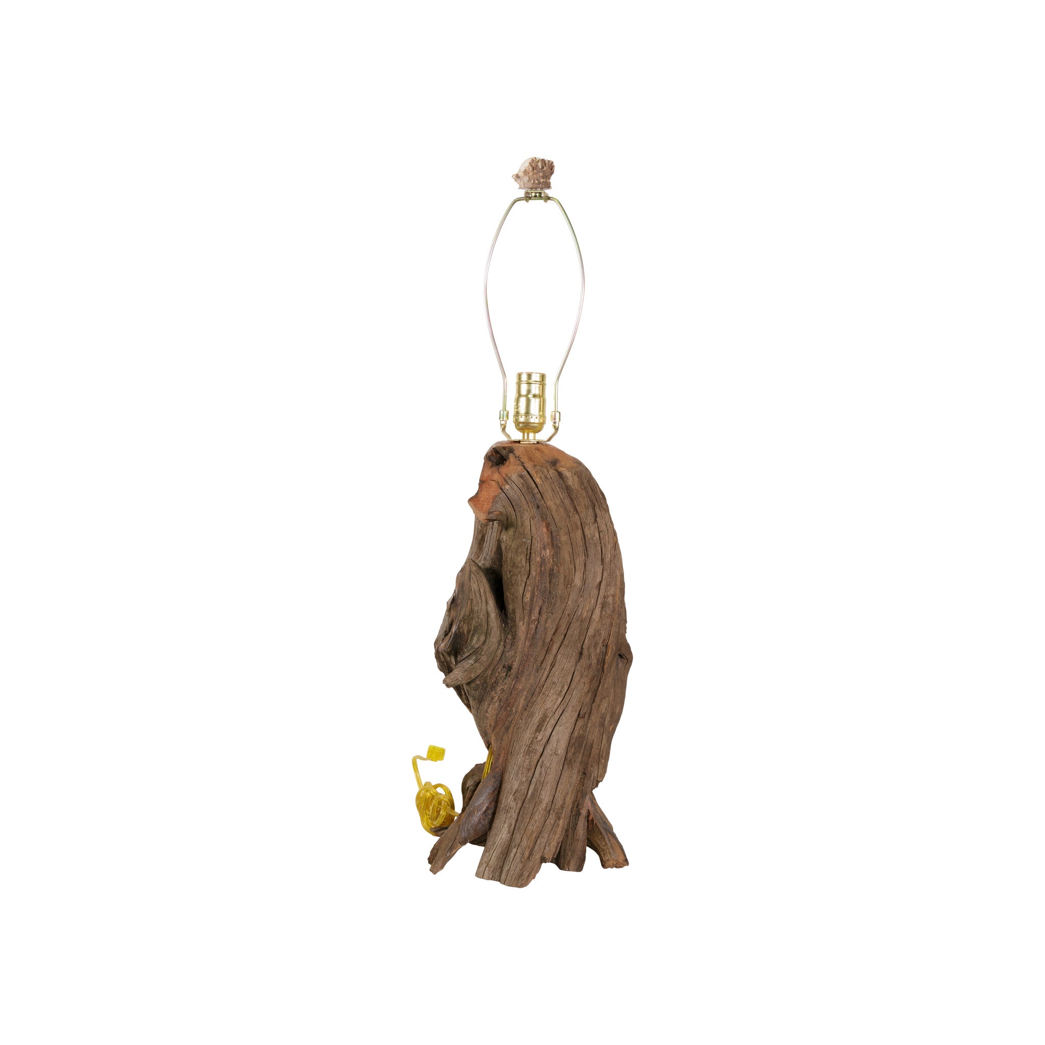 Raccoon Table Lamp