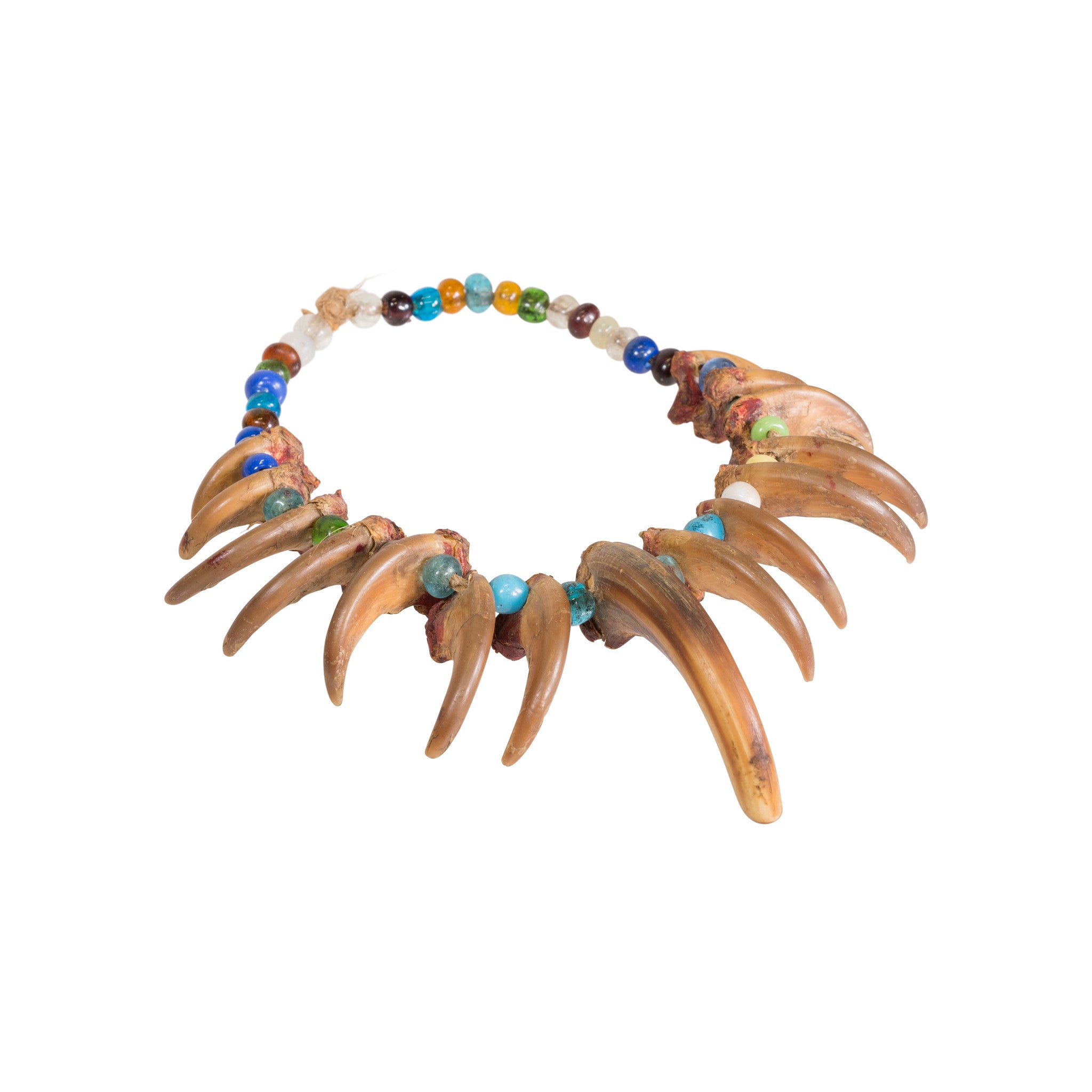 Grizzly Bear Necklace, Native, Garment, Necklace