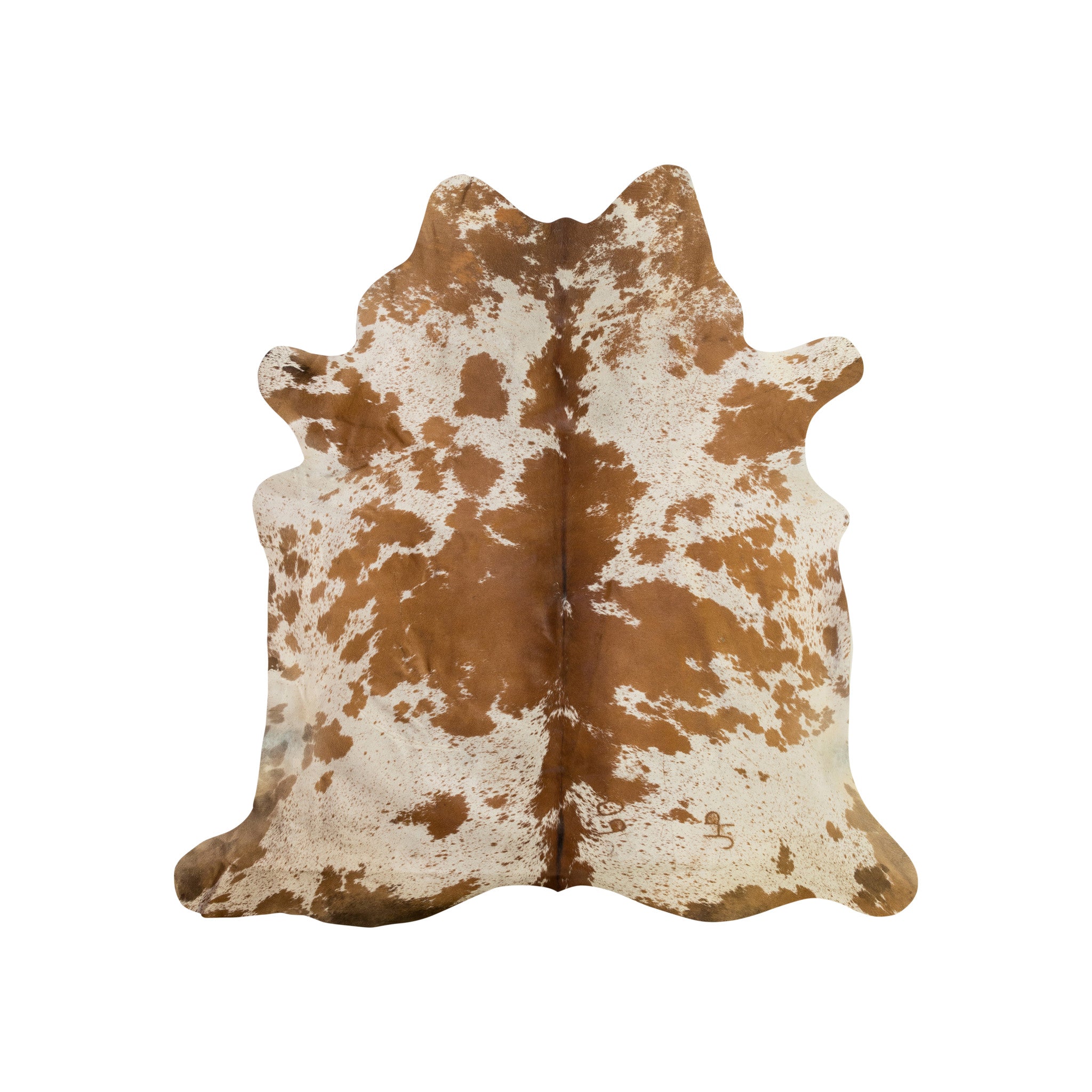 Longhorn Hide, Furnishings, Taxidermy, Longhorn