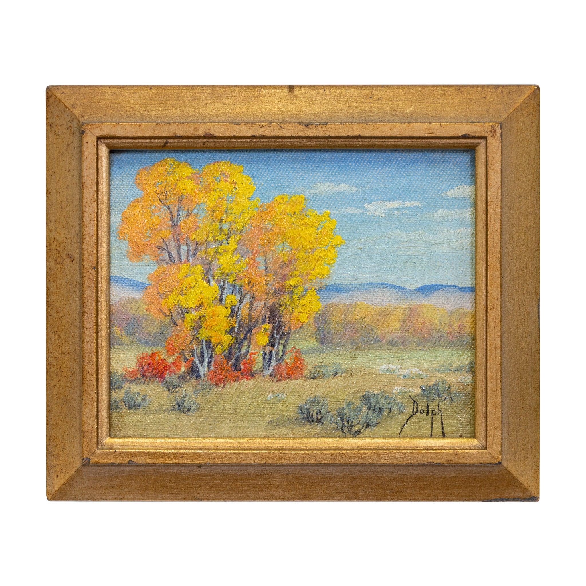 Aspens by Dorothy Dolph