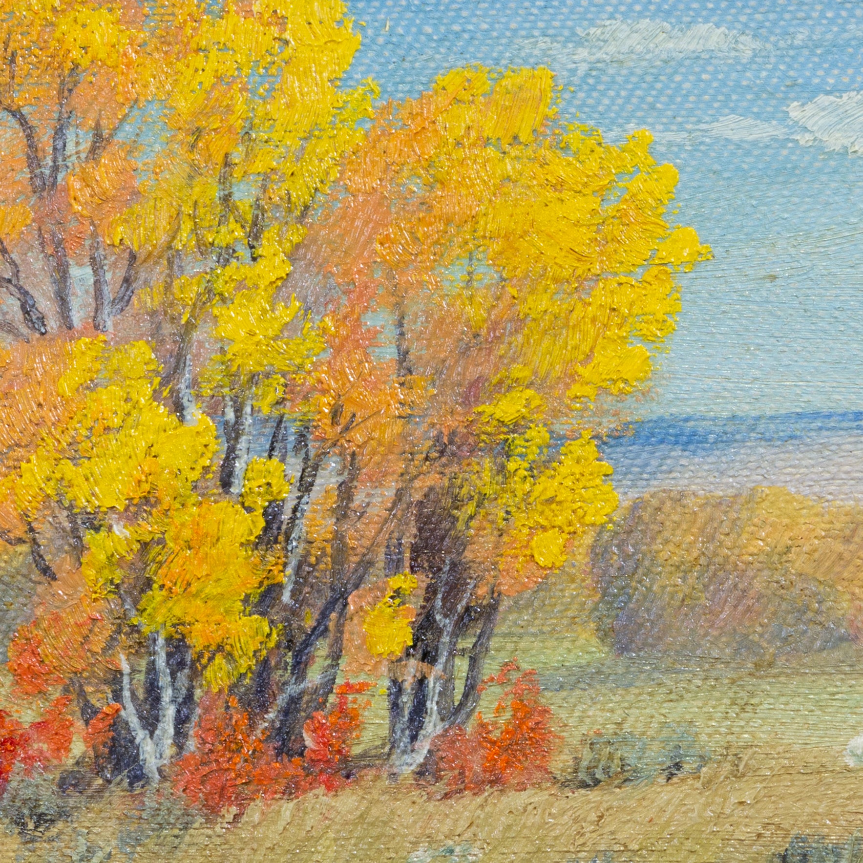 Aspens by Dorothy Dolph