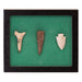 Ohio Points, Native, Stone and Tools, Arrowhead