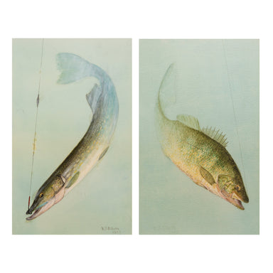 Pair of Hooked Fish Watercolors by William B. Gillette, Fine Art, Painting, Sporting