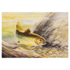 Brown Trout by Raul San Martin, Fine Art, Painting, Sporting