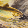 Brown Trout by Raul San Martin