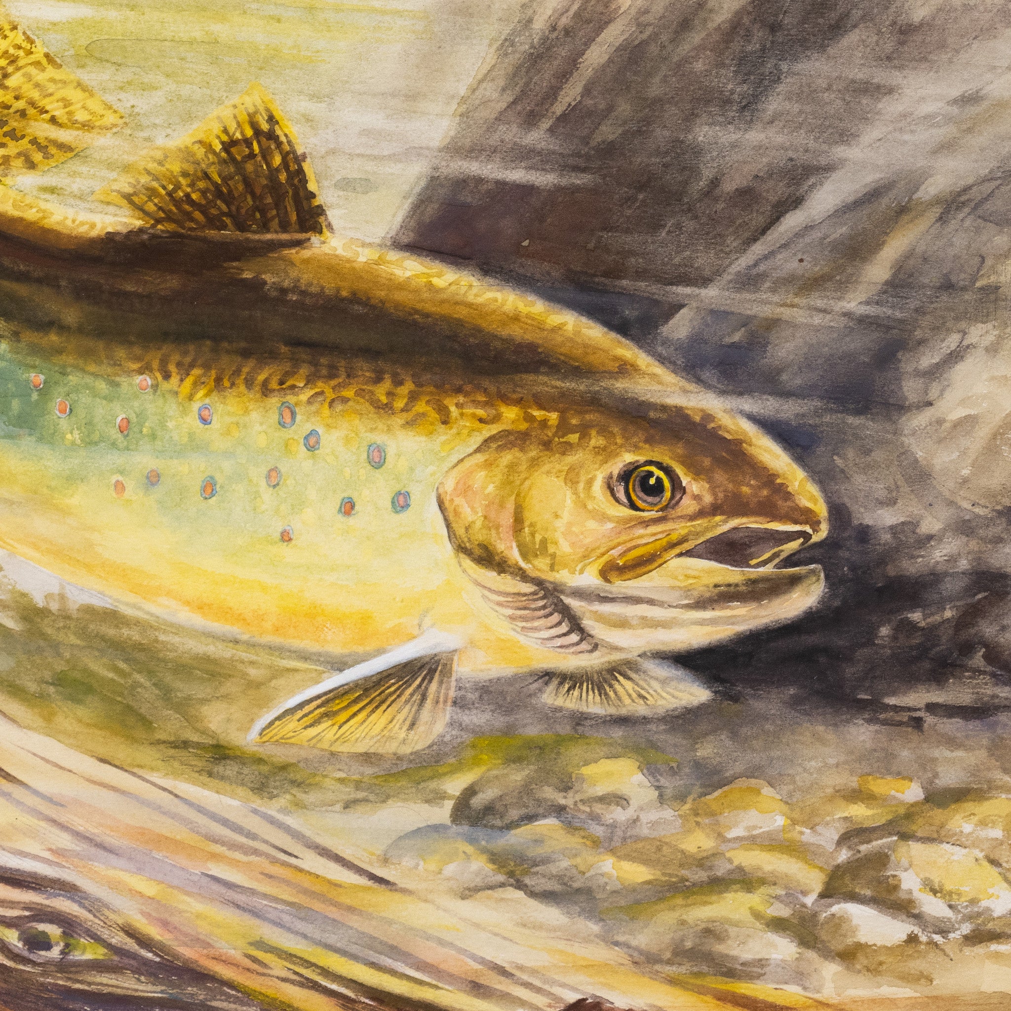 Brown Trout by Raul San Martin