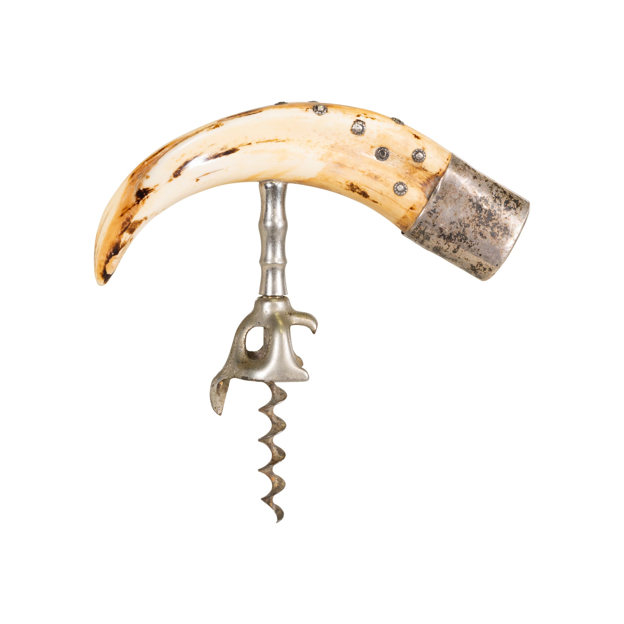 Boar Tusk Corkscrew