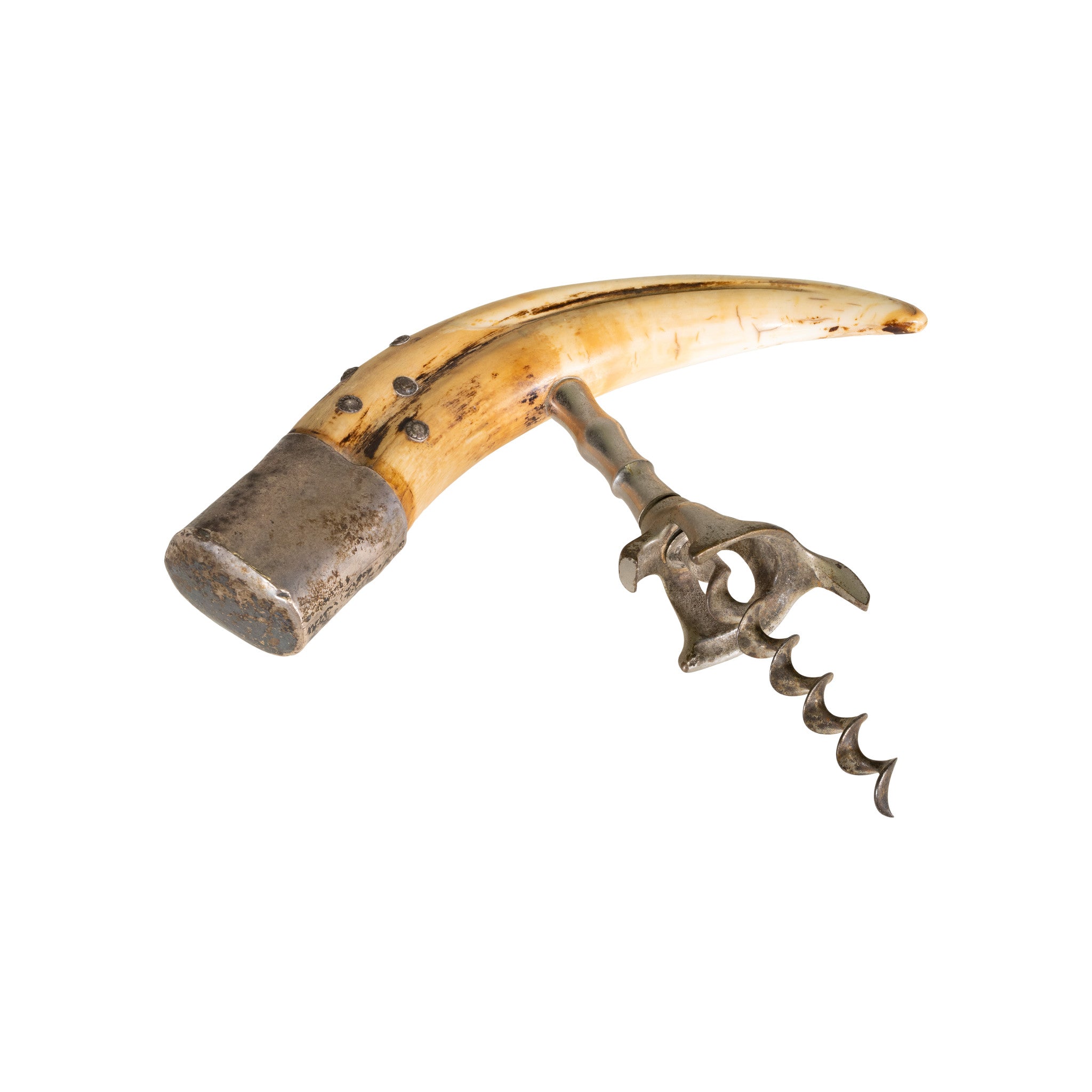 Boar Tusk Corkscrew