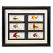 Framed Trout Flies, Sporting Goods, Fishing, Fly