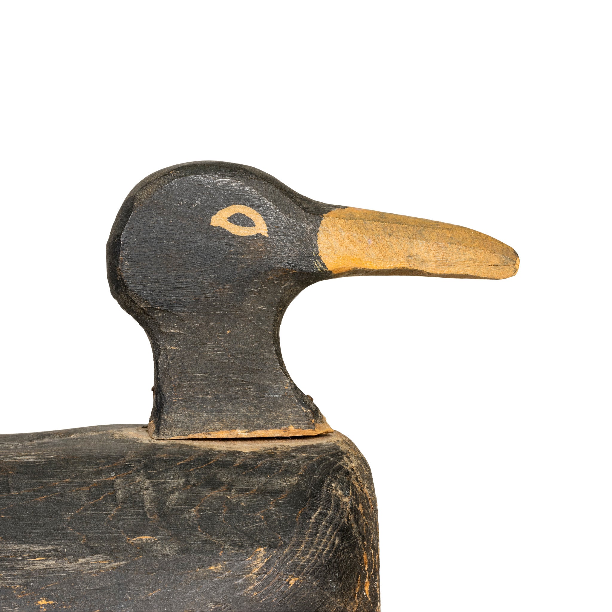 Black Duck Decoy